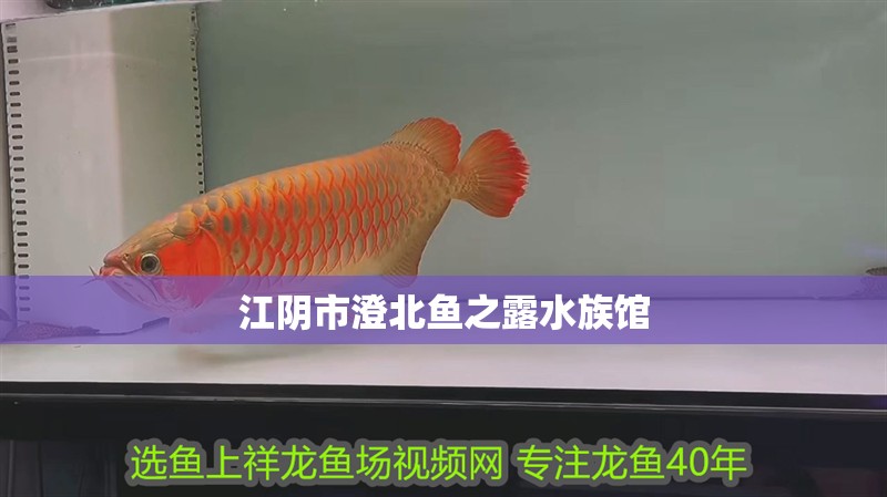 江陰市澄北魚之露水族館