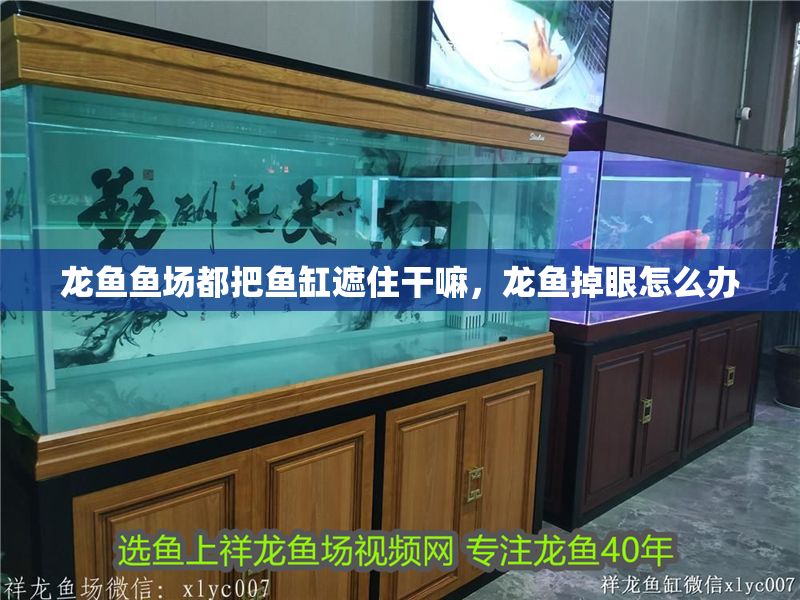 龍魚(yú)魚(yú)場(chǎng)都把魚(yú)缸遮住干嘛，龍魚(yú)掉眼怎么辦 龍魚(yú)魚(yú)場(chǎng)都把魚(yú)缸遮住干嘛，龍魚(yú)掉眼怎么辦 魚(yú)缸百科 第6張