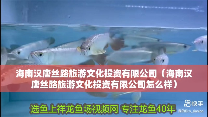 海南漢唐絲路旅游文化投資有限公司（海南漢唐絲路旅游文化投資有限公司怎么樣）