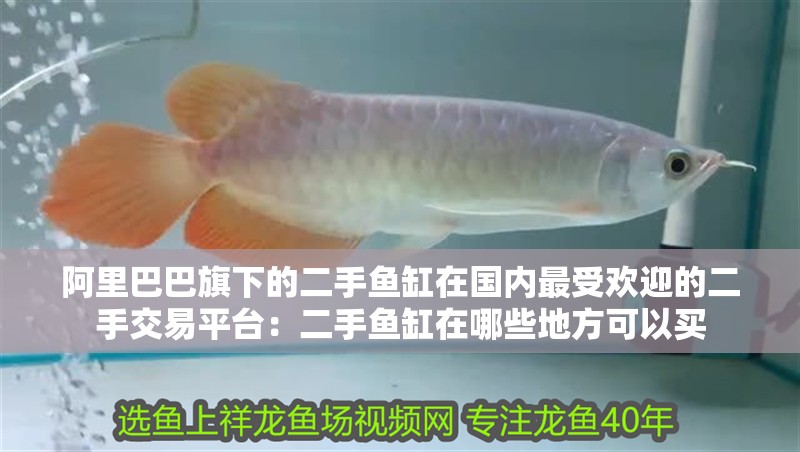 阿里巴巴旗下的二手魚缸在國內最受歡迎的二手交易平臺：二手魚缸在哪些地方可以買