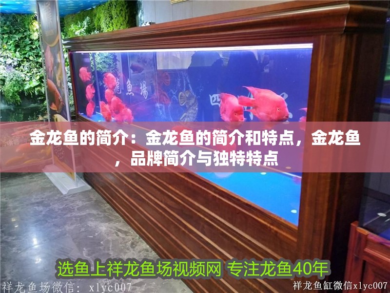 金龍魚的簡介：金龍魚的簡介和特點，金龍魚，品牌簡介與獨特特點