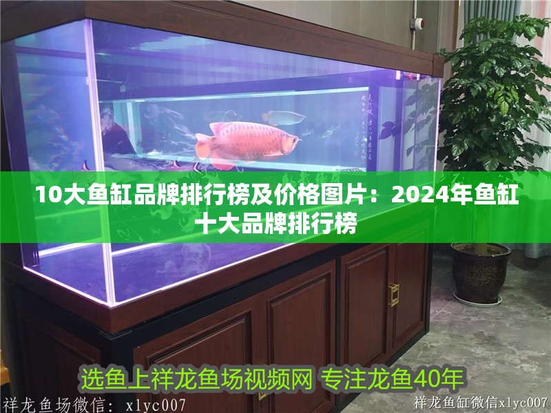 10大魚缸品牌排行榜及價格圖片：2024年魚缸十大品牌排行榜