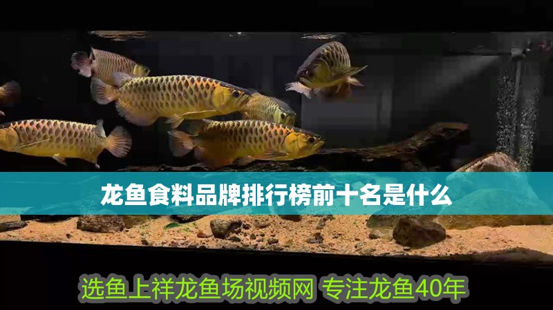 龍魚食料品牌排行榜前十名是什么