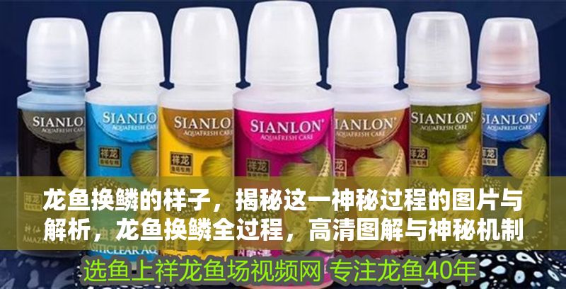 龍魚換鱗的樣子，揭秘這一神秘過程的圖片與解析，龍魚換鱗全過程，高清圖解與神秘機制解析