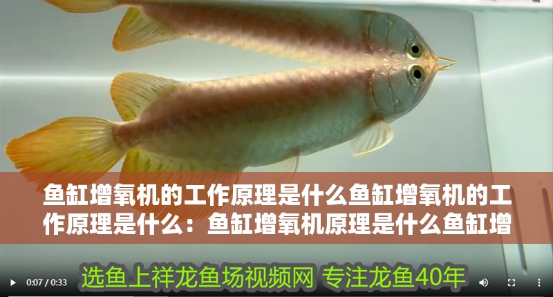 魚(yú)缸增氧機(jī)的工作原理是什么魚(yú)缸增氧機(jī)的工作原理是什么：魚(yú)缸增氧機(jī)原理是什么魚(yú)缸增氧機(jī)的工作原理是什么