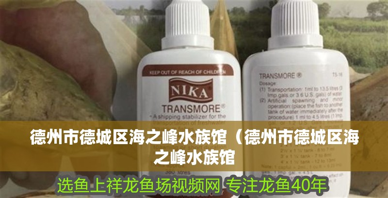 德州市德城區海之峰水族館（德州市德城區海之峰水族館