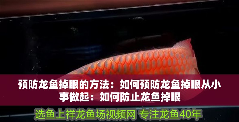 預防龍魚掉眼的方法：如何預防龍魚掉眼從小事做起：如何防止龍魚掉眼