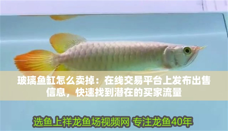 玻璃魚缸怎么賣掉：在線交易平臺上發(fā)布出售信息，快速找到潛在的買家流量