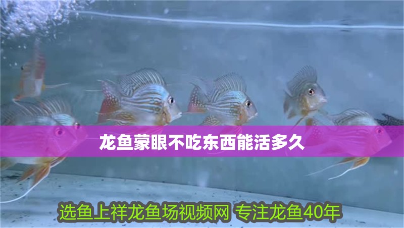 龍魚蒙眼不吃東西能活多久