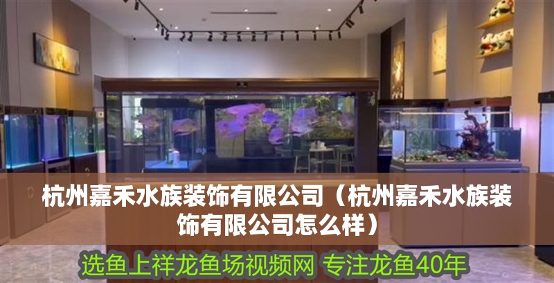 杭州嘉禾水族裝飾有限公司（杭州嘉禾水族裝飾有限公司怎么樣）