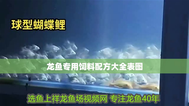 龍魚專用飼料配方大全表圖