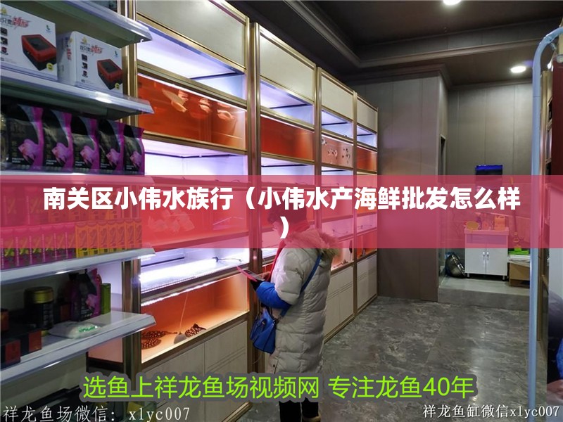 南關區小偉水族行（小偉水產海鮮批發怎么樣）