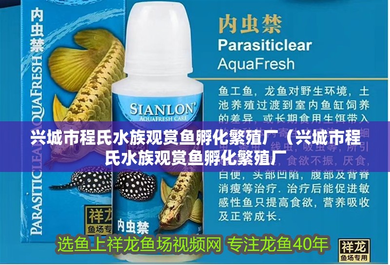 興城市程氏水族觀賞魚孵化繁殖廠（興城市程氏水族觀賞魚孵化繁殖廠