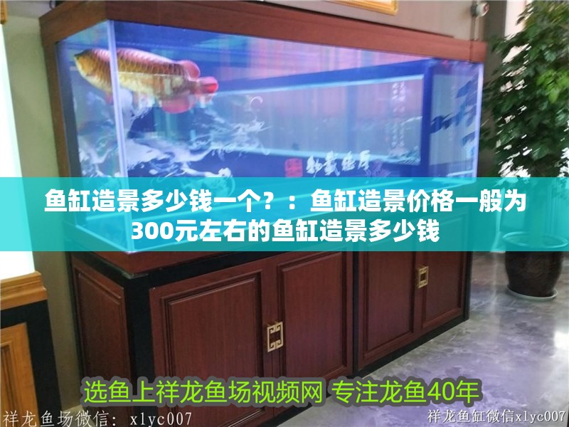 魚缸造景多少錢一個？：魚缸造景價格一般為300元左右的魚缸造景多少錢