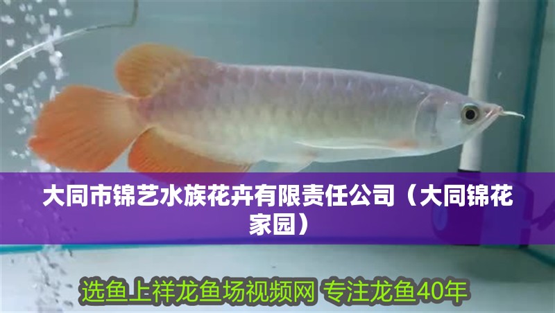 大同市錦藝水族花卉有限責任公司（大同錦花家園）