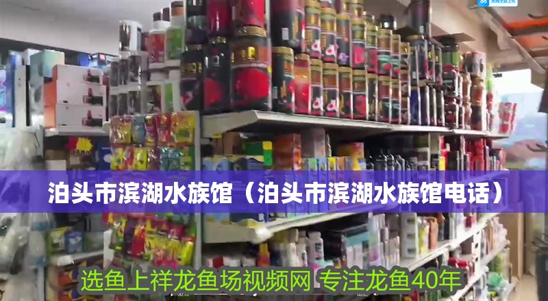 泊頭市濱湖水族館(泊頭市濱湖水族館電話) 全國水族館企業名錄 第2張 泊頭市濱湖水族館(泊頭市濱湖水族館電話) 泊頭市濱湖水族館(泊頭市濱湖水族館電話) 全國水族館企業名錄 第2張