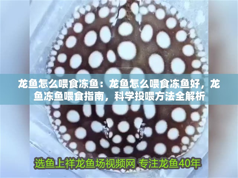 龍魚怎么喂食凍魚：龍魚怎么喂食凍魚好，龍魚凍魚喂食指南，科學投喂方法全解析