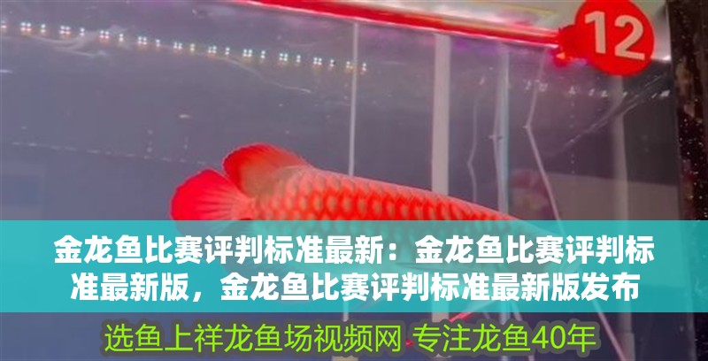 金龍魚比賽評判標準最新：金龍魚比賽評判標準最新版，金龍魚比賽評判標準最新版發布