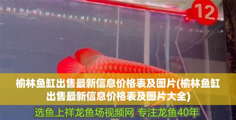榆林魚缸出售最新信息價格表及圖片(榆林魚缸出售最新信息價格表及圖片大全)