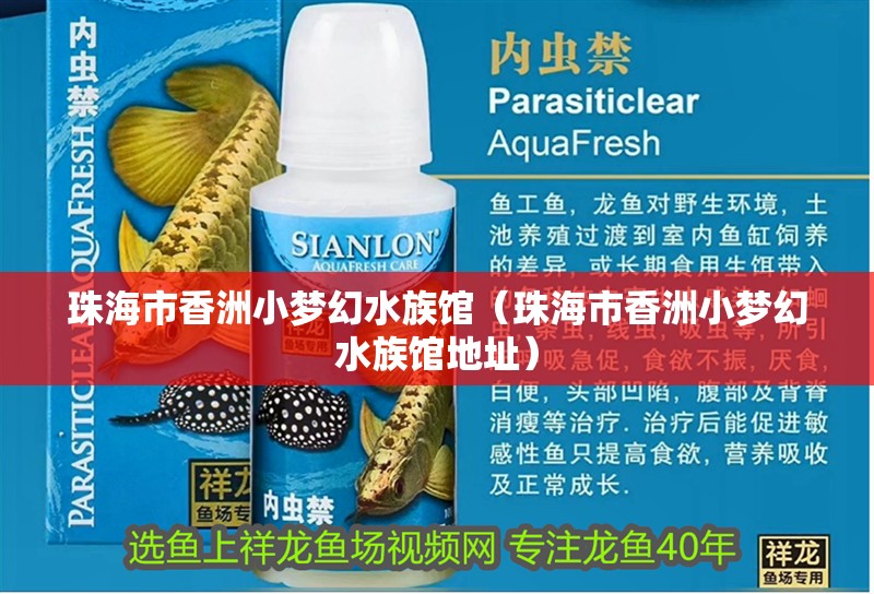 珠海市香洲小夢幻水族館（珠海市香洲小夢幻水族館地址）
