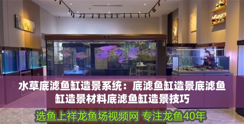 水草底濾魚缸造景系統(tǒng)：底濾魚缸造景底濾魚缸造景材料底濾魚缸造景技巧