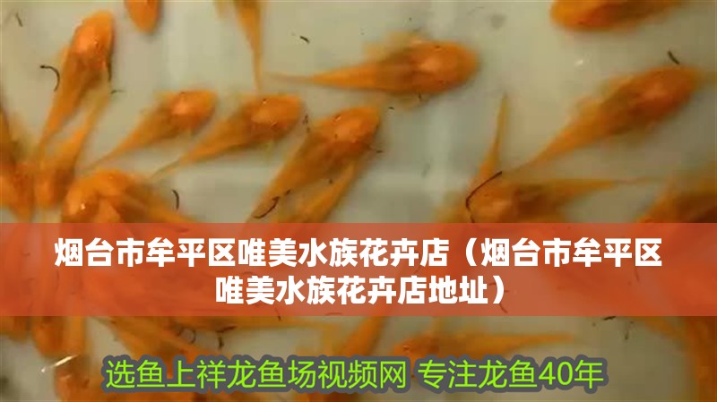 煙臺市牟平區(qū)唯美水族花卉店（煙臺市牟平區(qū)唯美水族花卉店地址）