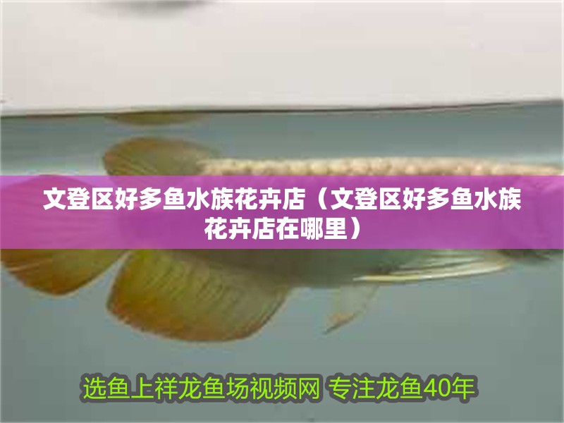 文登區(qū)好多魚水族花卉店（文登區(qū)好多魚水族花卉店在哪里）