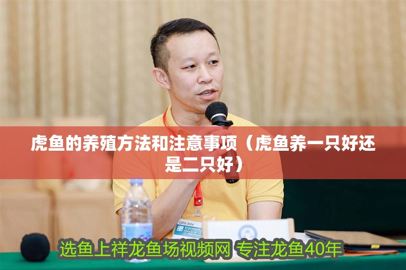 虎魚的養殖方法和注意事項（虎魚養一只好還是二只好）