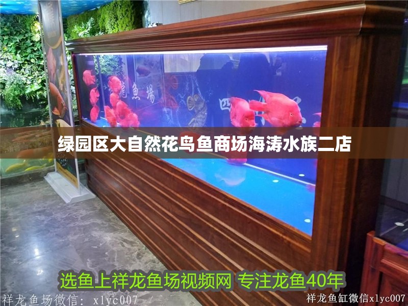 綠園區大自然花鳥魚商場海濤水族二店