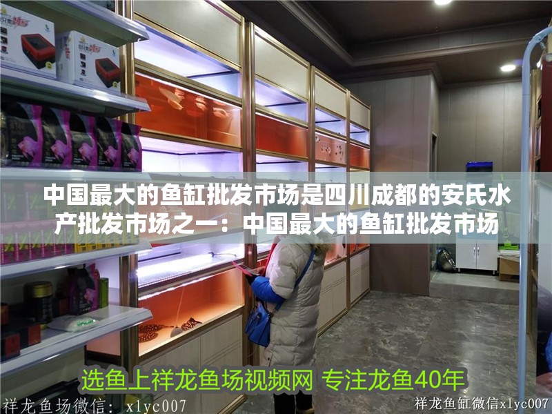 中國(guó)最大的魚(yú)缸批發(fā)市場(chǎng)是四川成都的安氏水產(chǎn)批發(fā)市場(chǎng)之一：中國(guó)最大的魚(yú)缸批發(fā)市場(chǎng)