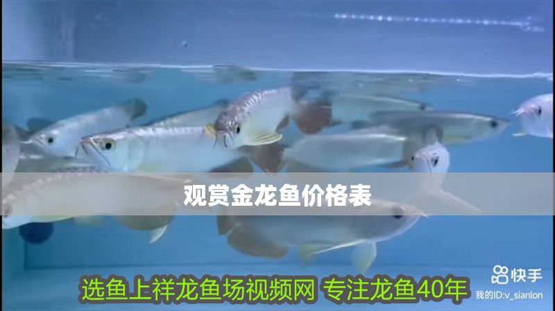 觀賞金龍魚價(jià)格表