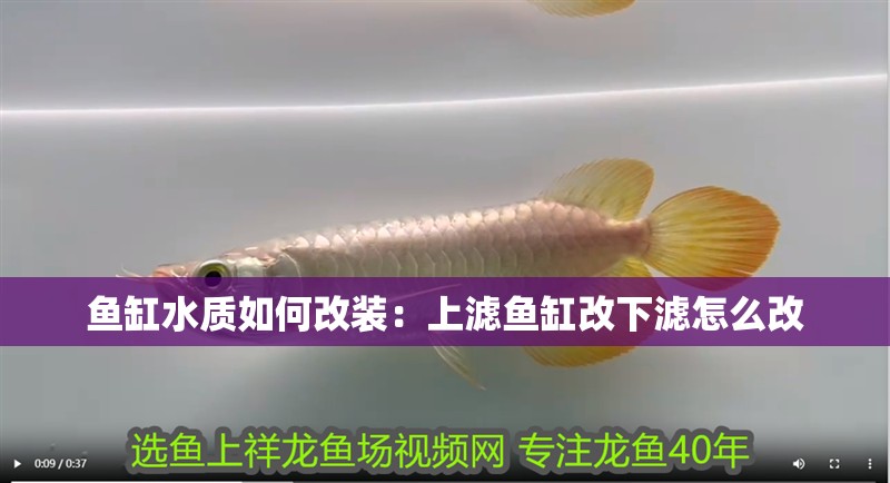魚缸水質如何改裝：上濾魚缸改下濾怎么改