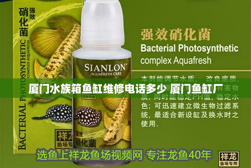 廈門水族箱魚缸維修電話多少 廈門魚缸廠