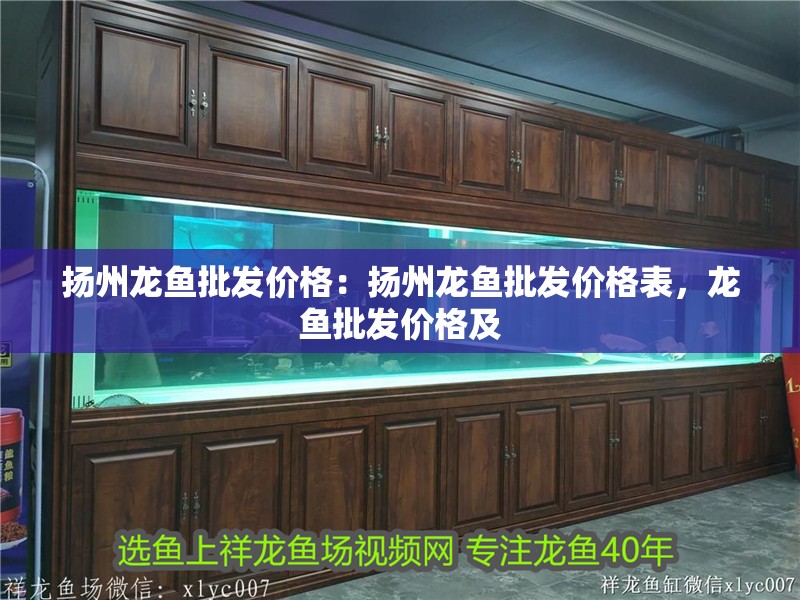 揚州龍魚批發價格：揚州龍魚批發價格表，龍魚批發價格及