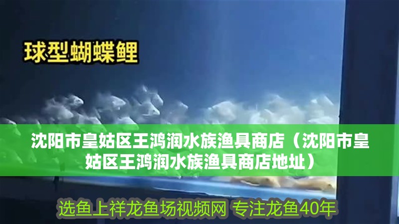 沈陽市皇姑區王鴻潤水族漁具商店（沈陽市皇姑區王鴻潤水族漁具商店地址）