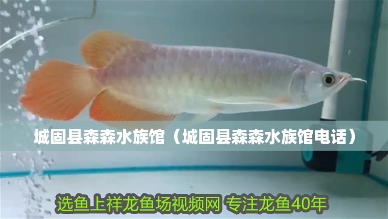 城固縣森森水族館（城固縣森森水族館電話）