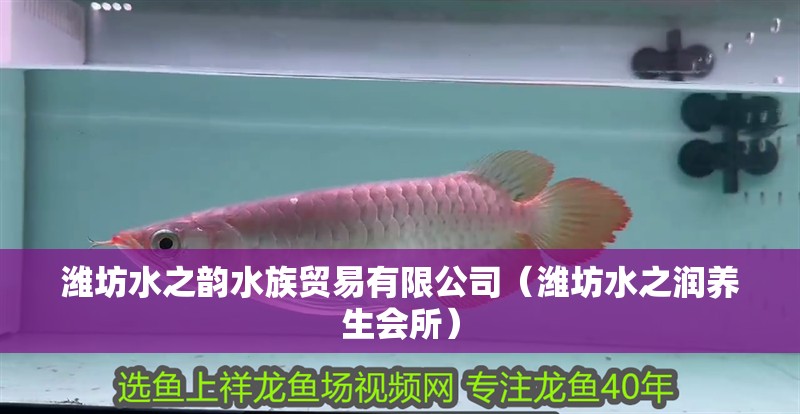 濰坊水之韻水族貿易有限公司（濰坊水之潤養生會所）