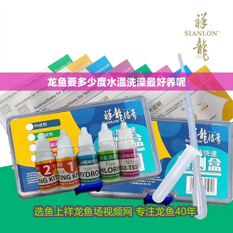 龍魚要多少度水溫洗澡最好養呢 龍魚百科 龍魚要多少度水溫洗澡最好養呢 龍魚要多少度水溫洗澡最好養呢 龍魚百科