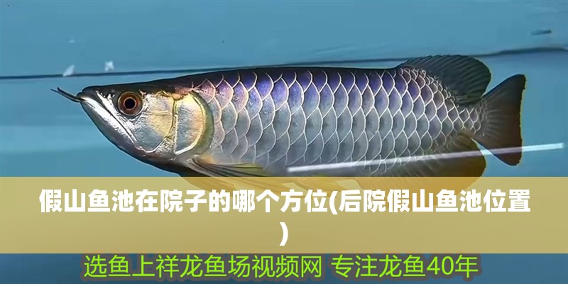 假山魚池在院子的哪個方位(后院假山魚池位置)