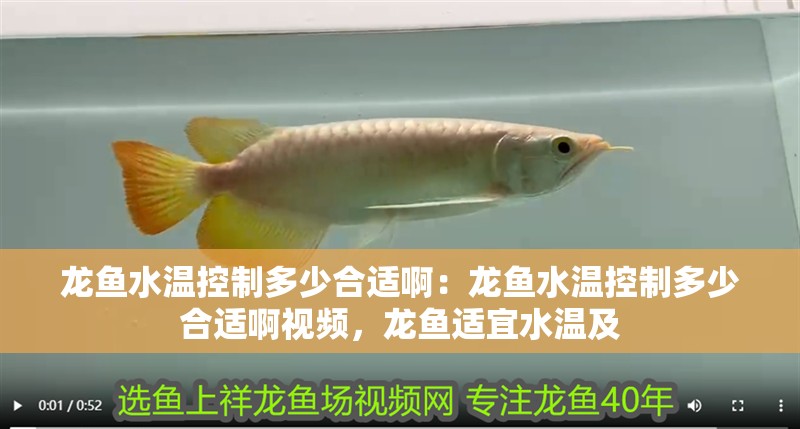 龍魚水溫控制多少合適啊：龍魚水溫控制多少合適啊視頻，龍魚適宜水溫及