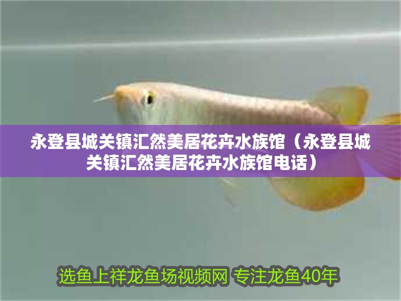 永登縣城關(guān)鎮(zhèn)匯然美居花卉水族館（永登縣城關(guān)鎮(zhèn)匯然美居花卉水族館電話）