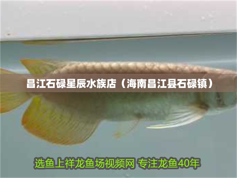 昌江石碌星辰水族店（海南昌江縣石碌鎮(zhèn)）