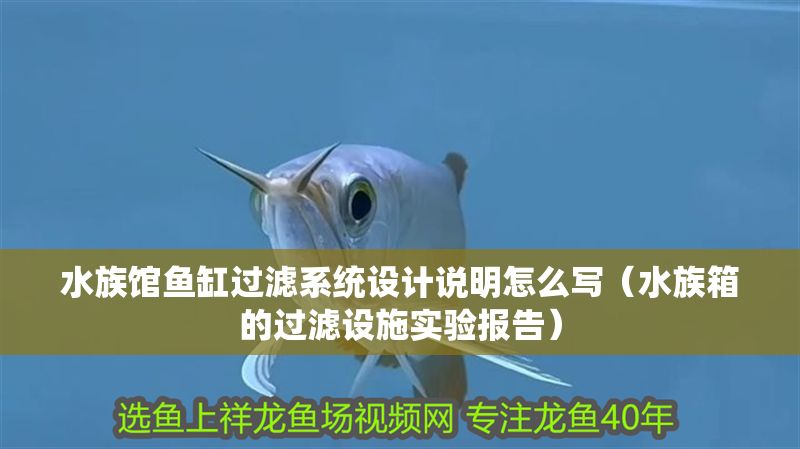 水族館魚缸過濾系統設計說明怎么寫（水族箱的過濾設施實驗報告）