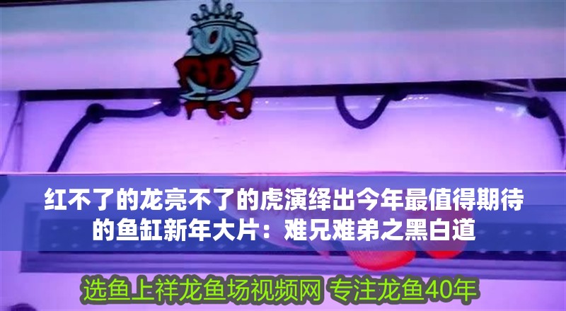 紅不了的龍亮不了的虎演繹出今年最值得期待的魚缸新年大片：難兄難弟之黑白道