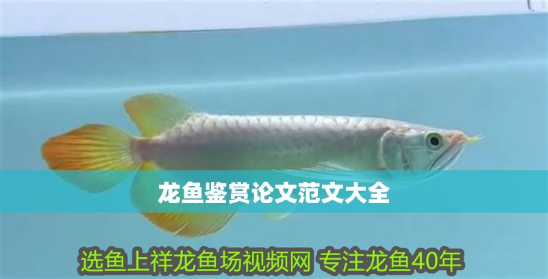 龍魚鑒賞論文范文大全