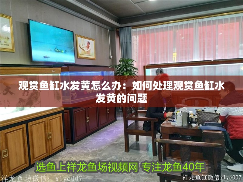 觀賞魚(yú)缸水發(fā)黃怎么辦：如何處理觀賞魚(yú)缸水發(fā)黃的問(wèn)題