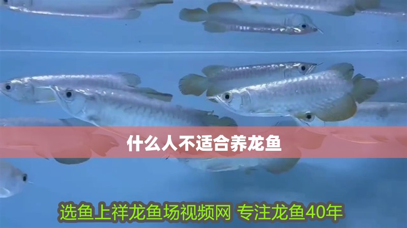 什么人不適合養龍魚 龍魚百科 什么人不適合養龍魚 什么人不適合養龍魚 龍魚百科