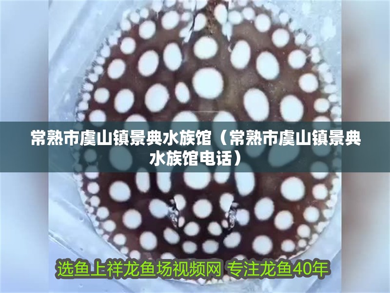 常熟市虞山鎮景典水族館（常熟市虞山鎮景典水族館電話）