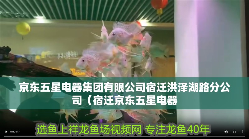 京東五星電器集團有限公司宿遷洪澤湖路分公司（宿遷京東五星電器 京東五星電器集團有限公司宿遷洪澤湖路分公司（宿遷京東五星電器 全國水族館企業名錄 第2張
