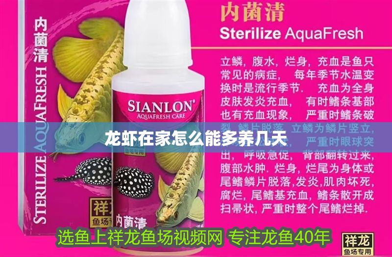 龍蝦在家怎么能多養幾天